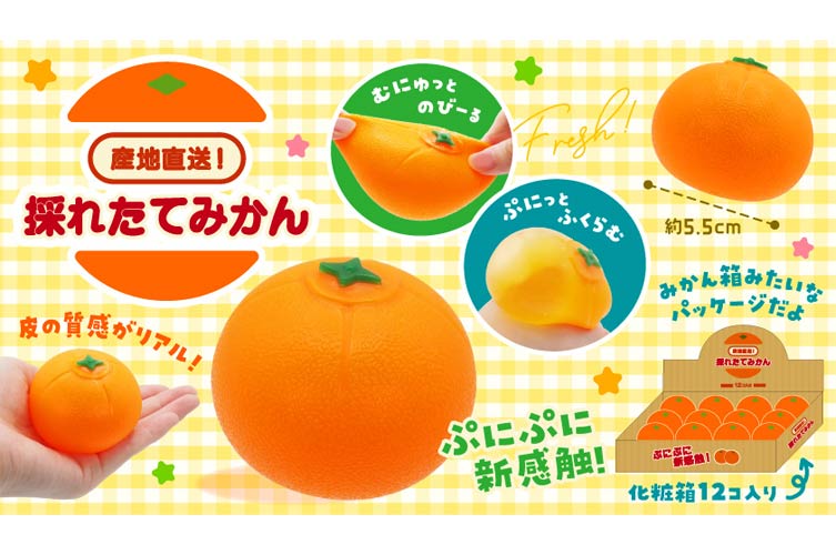 産地直送！採れたてみかん