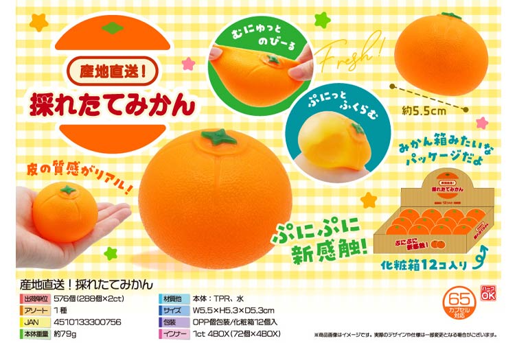 産地直送！採れたてみかん